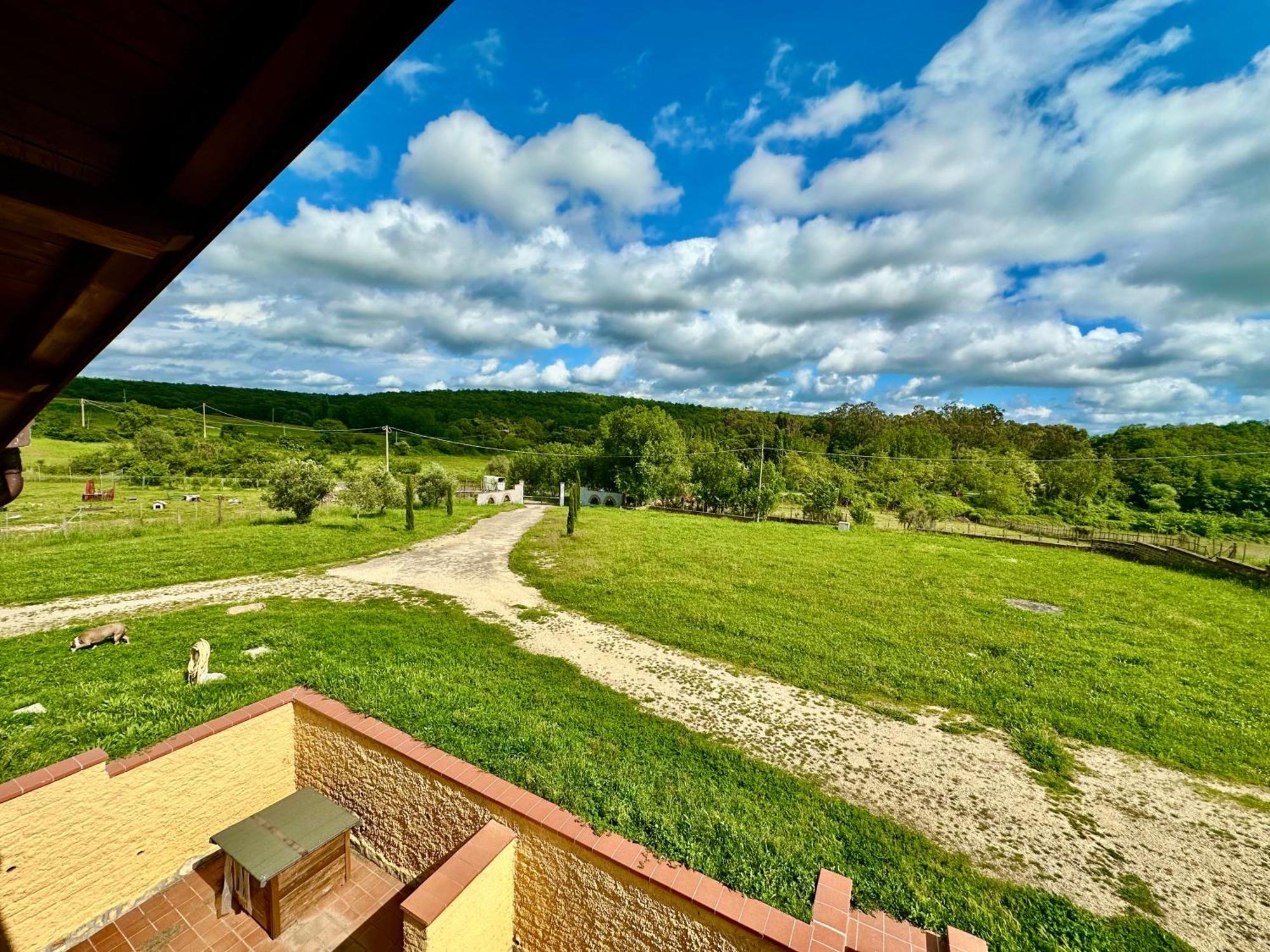 Villa Tuscia Apartments Tuscania Dış mekan fotoğraf